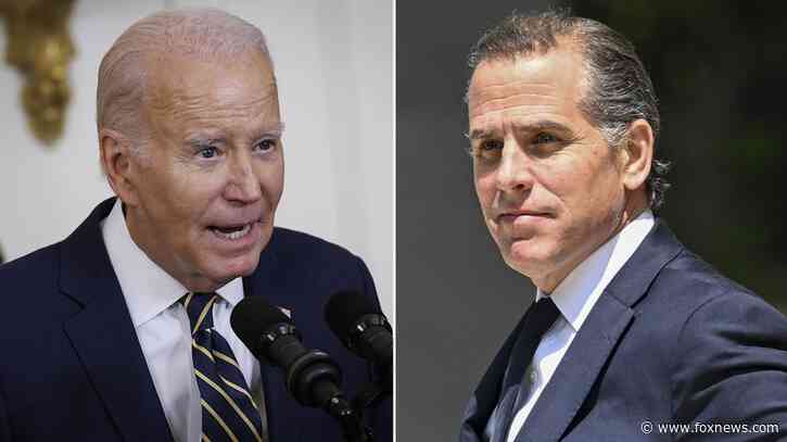 Hunter gave Biden 'green light' to acknowledge his child to 'negate a Republican line of attack,' sources say