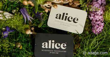 Functional mushrooms marketing guide—brands clash with Meta as industry grows