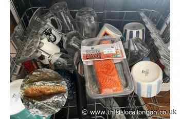 Dishwasher salmon: The TikTok crime against all fish