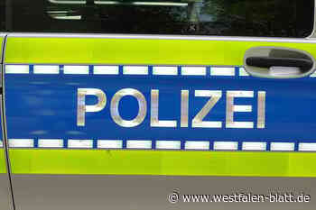 Hüllhorst: Kabelschrank beschädigt