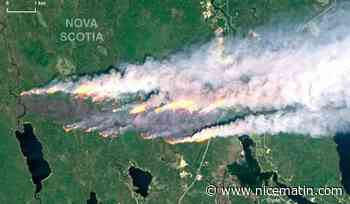 Les feux de forêts au Canada ont généré un record d'émissions de carbone, selon Copernicus