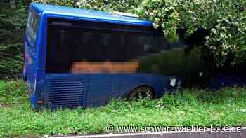 Unfall bei Bieselsberg: Bus kommt von der Straße ab – Totalschaden
