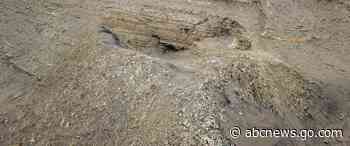 The heaviest animal ever may be this ancient whale found in the Peruvian desert