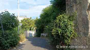 Torrenova, verrà messa in sicurezza la strada invasa dalla vegetazione