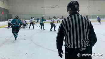 Hockey players shouldn't be bodychecking until age 15, U of O review suggests