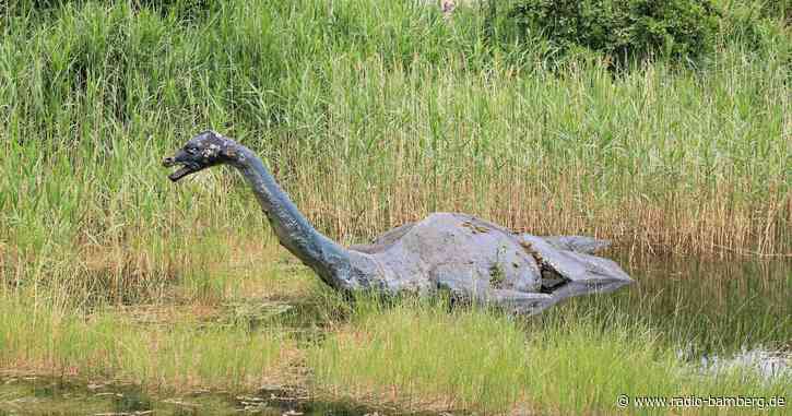 Große Suche nach Nessie geplant