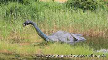 Große Suche nach Nessie geplant