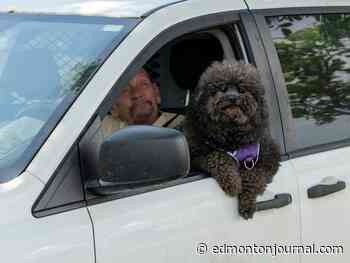 Edmonton weather: Practically perfect forecast in every way
