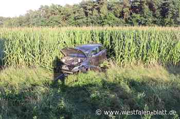 Überholversuch auf der A33 endet bei Paderborn im Maisfeld