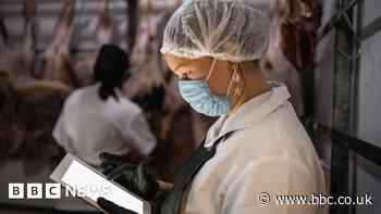 Post-Brexit import checks on food delayed again