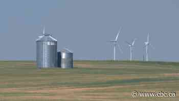 Alberta pausing approvals for new renewable-energy utilities to assess development rules