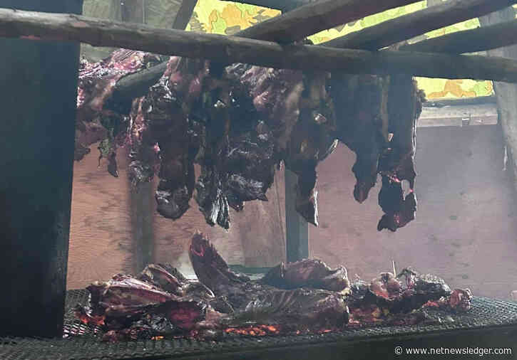 Wasaho Cree Nation: A Weather Mix of Clouds and Sunshine!