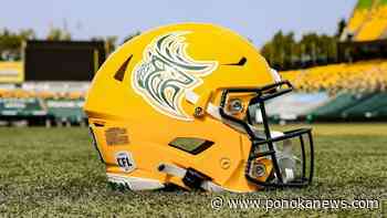Edmonton Elks to sport Indigenous-designed logo in game against Blue Bombers