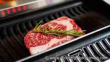 The Netherlands Passes Cultivated Meat and Seafood Agreement