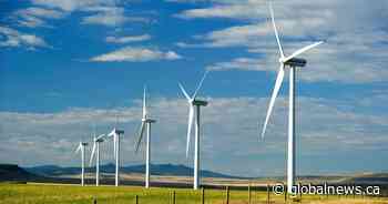 Alberta suspends approvals for green energy projects, like wind or solar power
