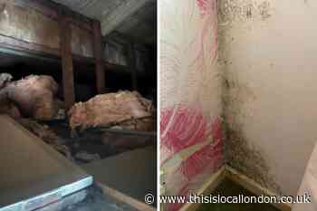 Romford woman 'afraid roof will collapse' at council-managed home