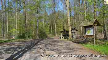 Friedwald im Fürstenauer Holz - Thema ist beerdigt