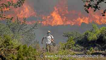 Klimaschutz ist kein Luxus, sondern ein absolutes Muss