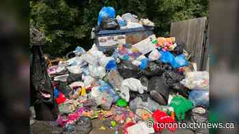 City of Toronto investigating trash mountain outside North York apartment complex