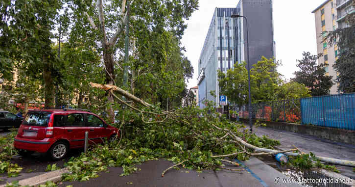 Milano in allerta per il temporale di venerdì: vietato l’accesso alle aree verdi non recintate, chiusi cimiteri e mercati
