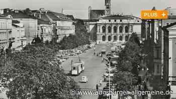 Die wechselvolle Geschichte der Bäume in der Fuggerstraße