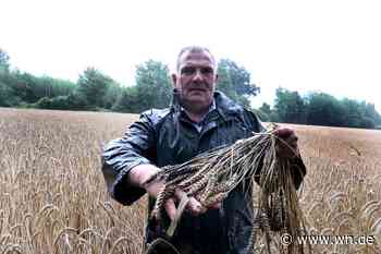 Der Dauerregen stellt die Landwirte in Münster vor Probleme