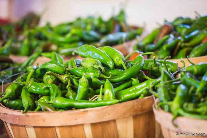 Most common New Mexican chile that can be found during the roasting season