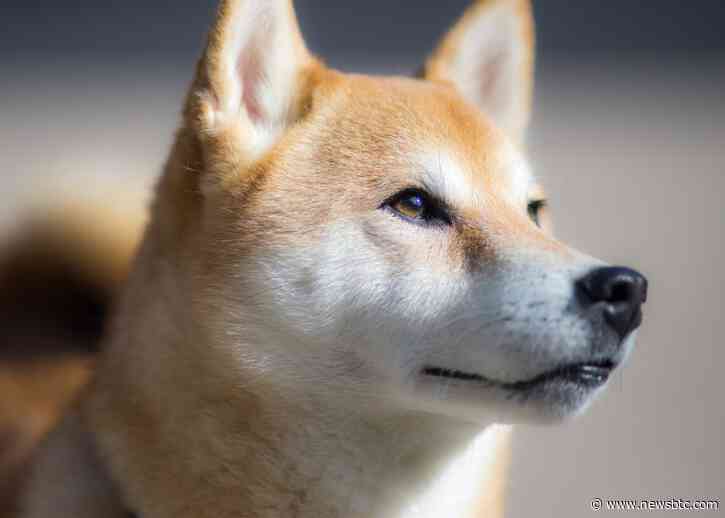 Shiba Inu’s DeFi Aspirations May Rattle DOGE’s Market As SHIB Turns To Digital IDs