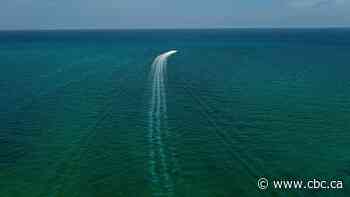 What happens if a crucial ocean current collapses? | About That