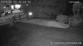 Five people caught on video throwing objects at Mississauga house sought by police