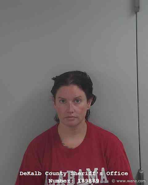 Court Docs: 'Spendthrift' accused of misusing Auburn school's PTO funds