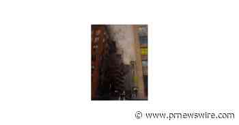 New York Artist Lara Ivanovic Wins Park West Gallery's 2023 Painted in New York Contest