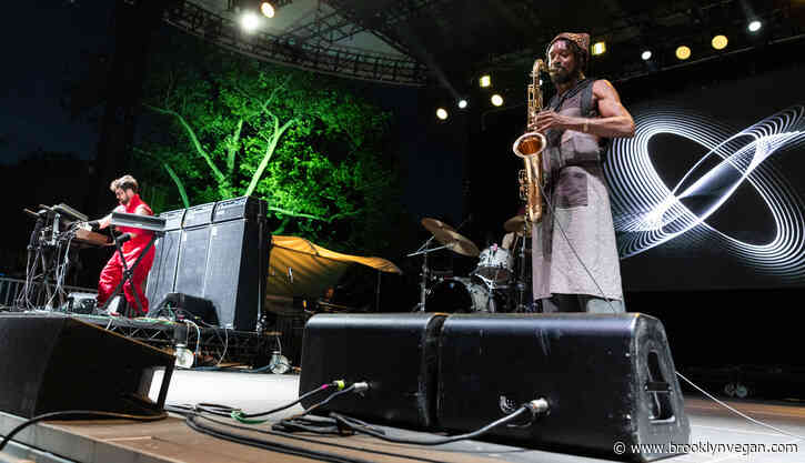 The Comet Is Coming, Ibeyi & Aja Monet played SummerStage in Central Park (pics)