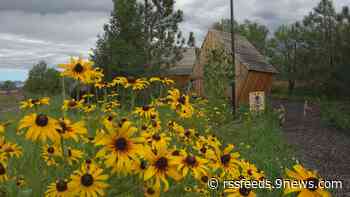 Colorado ranch offers a chance to relax with 200,000 honeybees