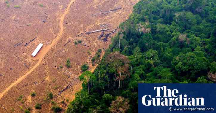 Amazon deforestation falls over 60% compared with last July, says Brazilian minister