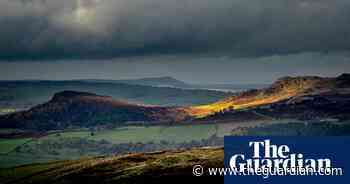 Deer stalker and summer loving – readers’ best photos