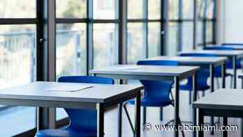 AP psychology ‘effectively banned' in Florida over state law prohibiting lessons of gender, sex