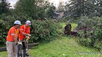 Cleanup begins after tornado rips through south Ottawa