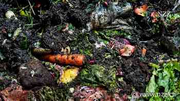 Food-Waste: Warum es nicht stimmt, dass jedes dritte Lebensmittel in der Schweiz weggeworfen wird