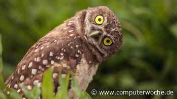 #wtf: 3 verstörende Social-Media-Trends