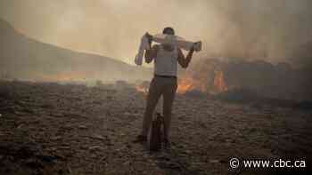 Wildfire smoke in your eyes? Doctors say we need to do more to study its long-term impacts