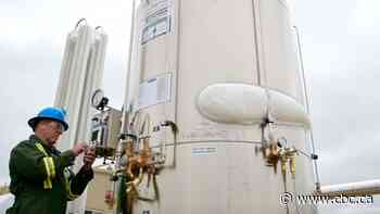 These clean tech startups launched in Calgary, but most of their sales are in the U.S.