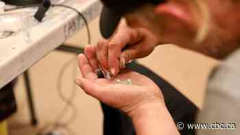 Almost a year later, Hamilton hasn't requested to decriminalize illicit drugs for personal use