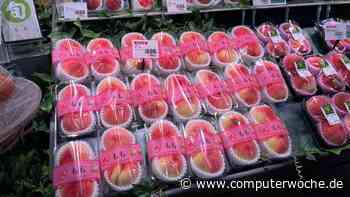 Fujitsu experimentiert: GenAI im Supermarkt