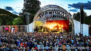 Wanda beim Klostersommer Calw: Kompromissloser Rock’n’Roll ohne Schnick-Schnack