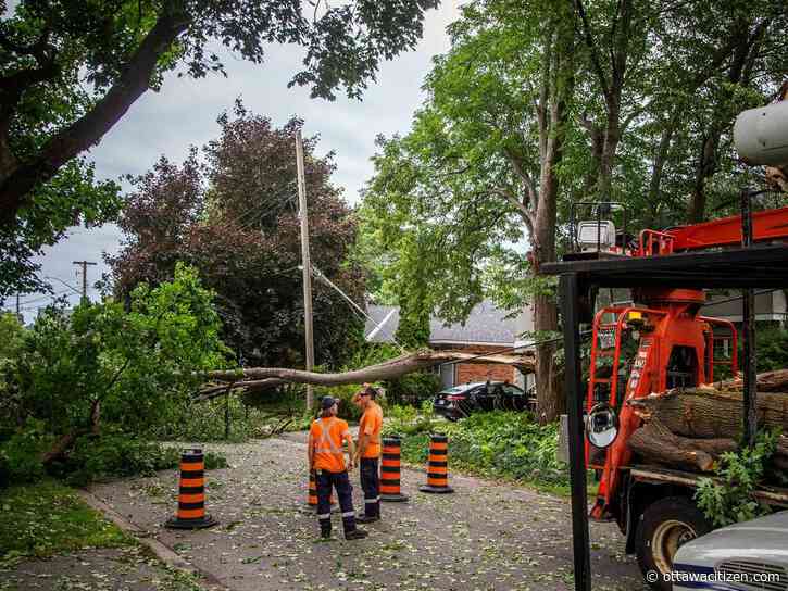 Pellerin: Can local Ottawa news survive the changes to Twitter — er, I mean, X?