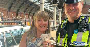 Widow reunited with teddy bear from late husband after it was stolen from train