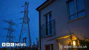 Give cash to households in path of new pylons, government urged