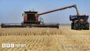 China drops Australia barley tariffs after three years