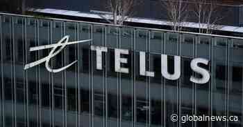 Telus cuts 6,000 jobs after net income drops 61% in Q2